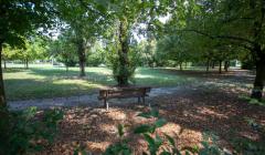 Immagine per il giardino di ilaria un progetto a sei zampe   foto 2